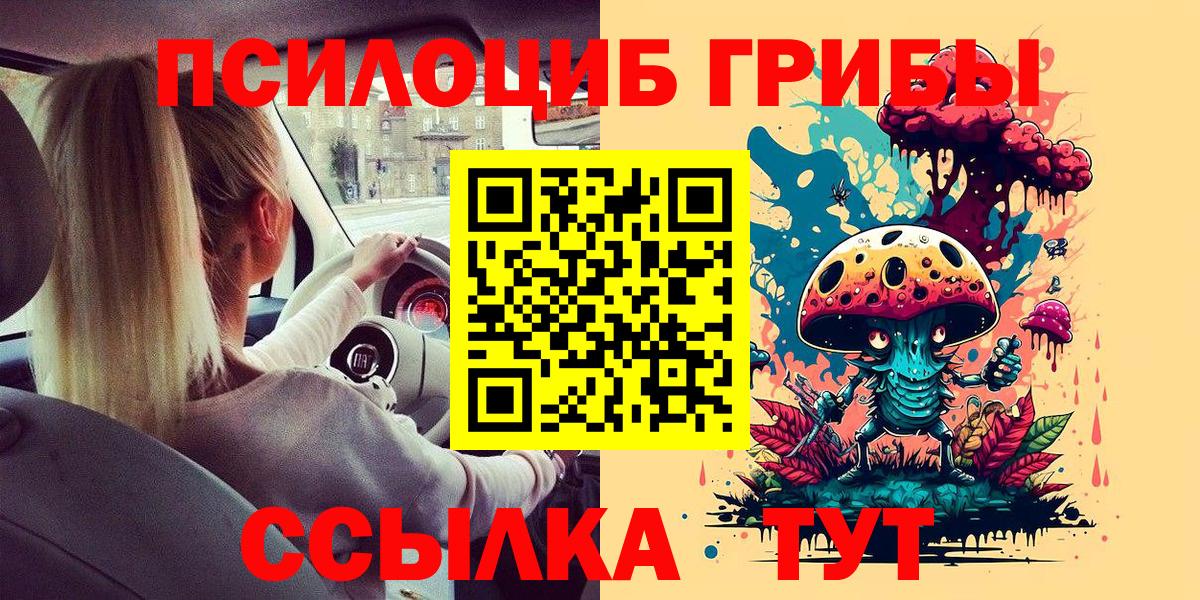 Галлюциногенные грибы Psilocybe Тихвин
